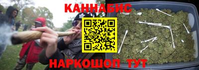 амф Донской