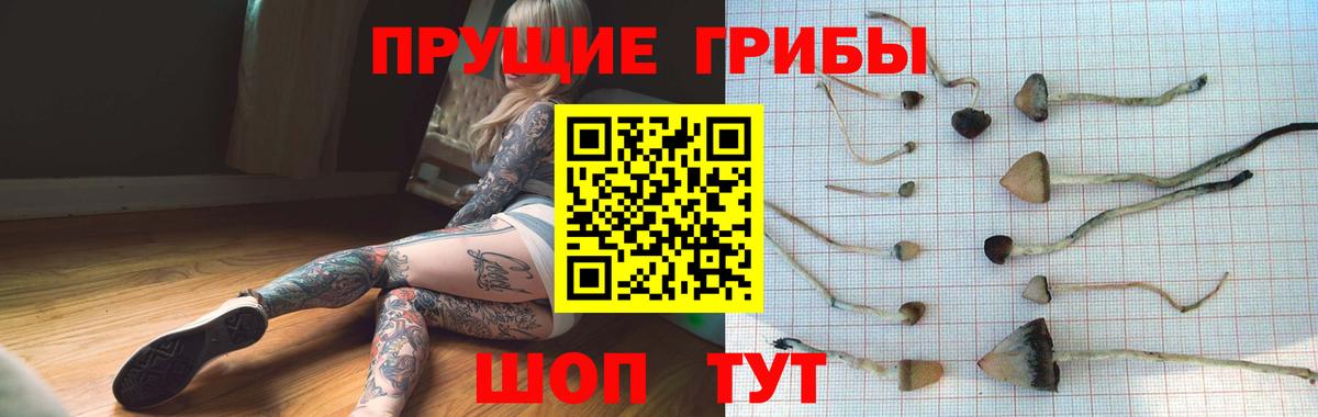Галлюциногенные грибы GOLDEN TEACHER Салават